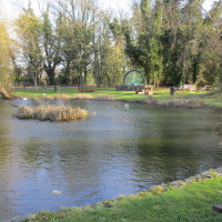 A5 dog-friendly pub, Warwickshire - Dog walks in Warwickshire