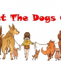 Dog walking & Day care services in Welwyn, Hertfordshire - Image 1