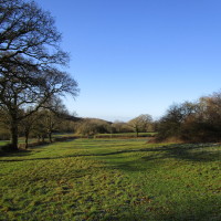 Morton Stanley Park dog walk, Redditch, Worcestershire - Dog walks in Worcestershire