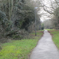 Redditch dog-friendly pub and dog walk, Worcestershire - Dog walks in Worcestershire