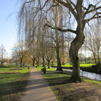Bromsgrove town local dog walk, Worcestershire - Dog walks in Worcestershire