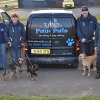 Paw Pals Stockton-on-Tees, County Durham - Image 1