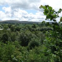 Dog-friendly inn with B&B and dog walk in Caldbeck, Cumbria - Cumbria Way dog walk