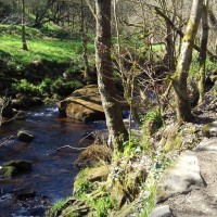 Hardcastle Crags dog walks, West Yorkshire - 20190411_125538.jpg