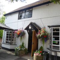 Dog walk and village inn near the A49, Herefordshire - Dog-friendly pub and dog walk near Ludlow