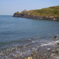Abereiddy dog friendly beach, Pembrokeshire, Wales - Dog walks in Wales