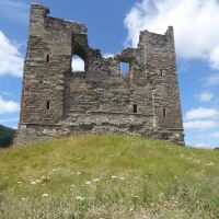 The quiet ruins of Hopton Castle, Shropshire - Dog walk near Ludlow