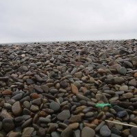 Tal-y-Bont dog-friendly beach near Barmouth, Wales - Dog walks in Wales