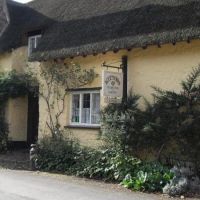 Kitnors dog-friendly Tea Garden near Minehead, Somerset - kitnors tea garden.jpg