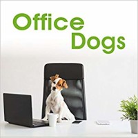 office dogs.jpg