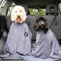 PawDaw dogs.jpg