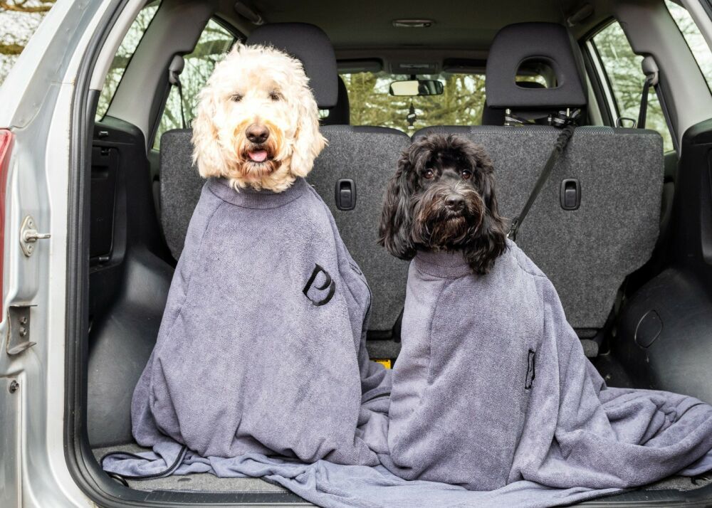 How to keep your car clean with muddy dogs on board Driving with Dogs