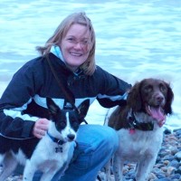 Normans Bay dog-friendly beach, East Sussex - Sussex dog-friendly beach