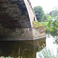 Dog Walk on river Eden and Coombs Wood, Cumbria - Northumberland dog-friendly pub and dog walk