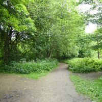 Country park dog walk, swimming and cafe, Lancashire - Dog walk in Bury