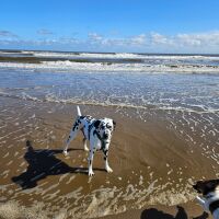 Mablethorpe North Beach, Lincolnshire - 1000078791.jpg