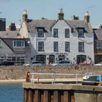 Stonehaven harbour pubs - dog-friendly, Scotland - Dog-friendly pub in Stonehaven