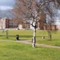 Shoreditch Park local dog walk, Greater London - Dog walks in Greater London
