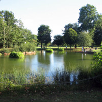 Victoria Park local dog walks, Greater London - Dog walks in Greater London