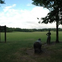 M62 Junction 11 Birchwood Forest Park dog walk, Cheshire - Dog walks in Cheshire