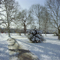 Pitshanger Park, Ealing, Greater London - Dog walks in Greater London