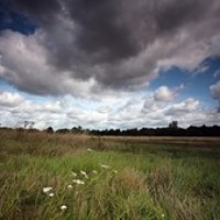 Hanworth Park, Feltham, Greater London - Dog walks in Greater London