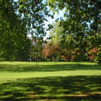 Battersea Park local dog walk, Greater London - Dog walks in Greater London
