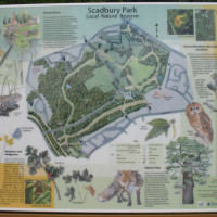 Scadbury Park on-lead local dog walk, Kent - Dog walks in Kent