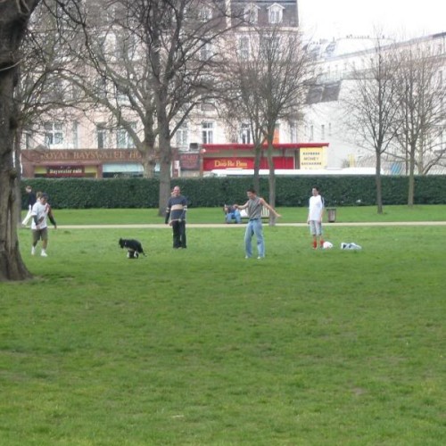 Hyde Park local dog walks, Greater London Driving with Dogs