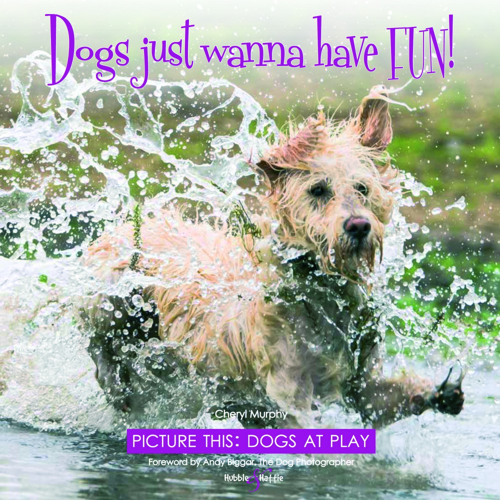 Dogs just wanna have FUN! – Picture this: Dogs at Play