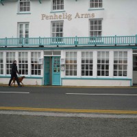 Aberdovey dog-friendly hotel, Wales - Dog-friendly hotel, Wales