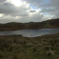 Bearded Lake dog walk near Aberdovey, Wales - Dog walks in Wales