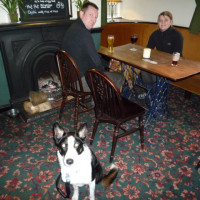Macclesfield area dog-friendly pub and dog walk, Cheshire - Dog walks in Cheshire