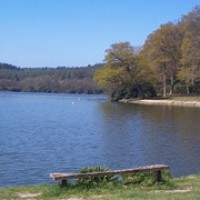 Shear Water dog walk - Longleat Estate, Wiltshire - Dog walks in Wiltshire