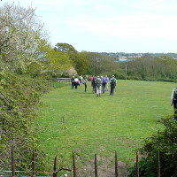 The Duver dog walk, Isle of Wight - Dog walks on the Isle of Wight
