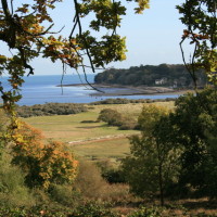 The Duver dog walk, Isle of Wight - Dog walks on the Isle of Wight