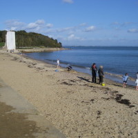 The Duver dog walk, Isle of Wight - Dog walks on the Isle of Wight