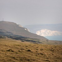 Headon Warren dog walk, Isle of Wight - Dog walks on the Isle of Wight