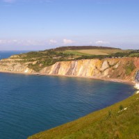 Headon Warren dog walk, Isle of Wight - Dog walks on the Isle of Wight