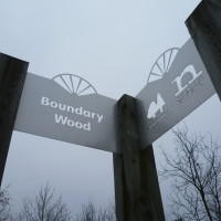 Boundary Wood dog walks, Nottinghamshire - Image 1