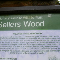 Sellers Wood, Nottingham, Nottinghamshire - Image 1