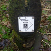 Sellers Wood, Nottingham, Nottinghamshire - Dog walks in Nottinghamshire
