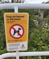 Scenic Beach and Marina (seasonal access for dogs), Cornwall - 20210429_130628.jpg
