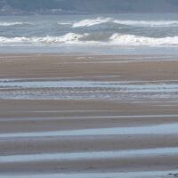 Reighton Sands dog-friendly beach, North Yorkshire - Yorkshire dog-friendly beaches and dog walks