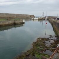 Lossiemouth dog-friendly beach and cafes, Scotland - Dog walk in Lossiemouth