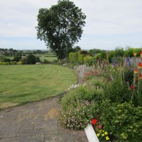 A5 dog walk and dog-friendly pub, Leicestershire - Leicestershire dog walk and dog-friendly pub
