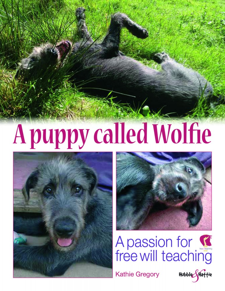 Free Will Training and Wolfie's story