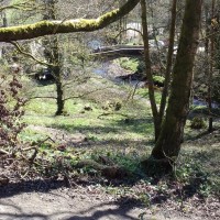Hardcastle Crags dog walks, West Yorkshire - 20190411_125012.jpg