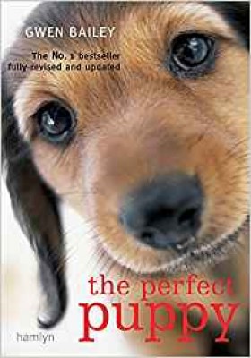 The Perfect Puppy.jpg