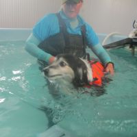 Jem at hydrotherapy session1.JPG